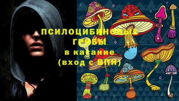 прущие крисы Абинск