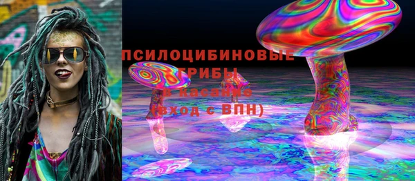 хмурый Алексеевка